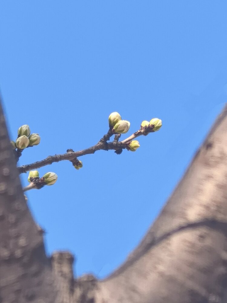 爱吾爱（雅韵文轩）