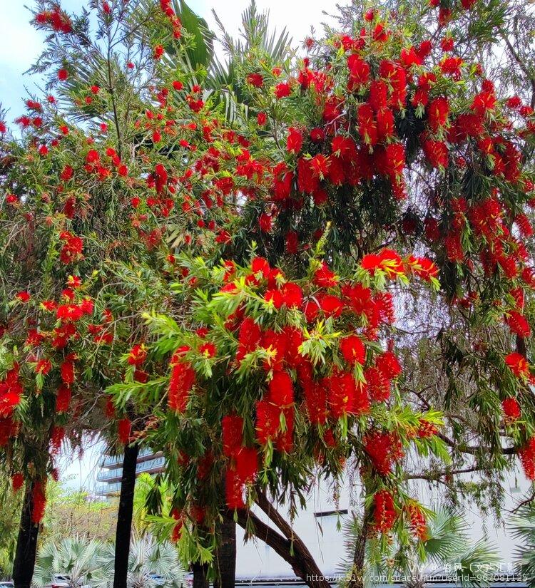 春风〔文声汇影〕