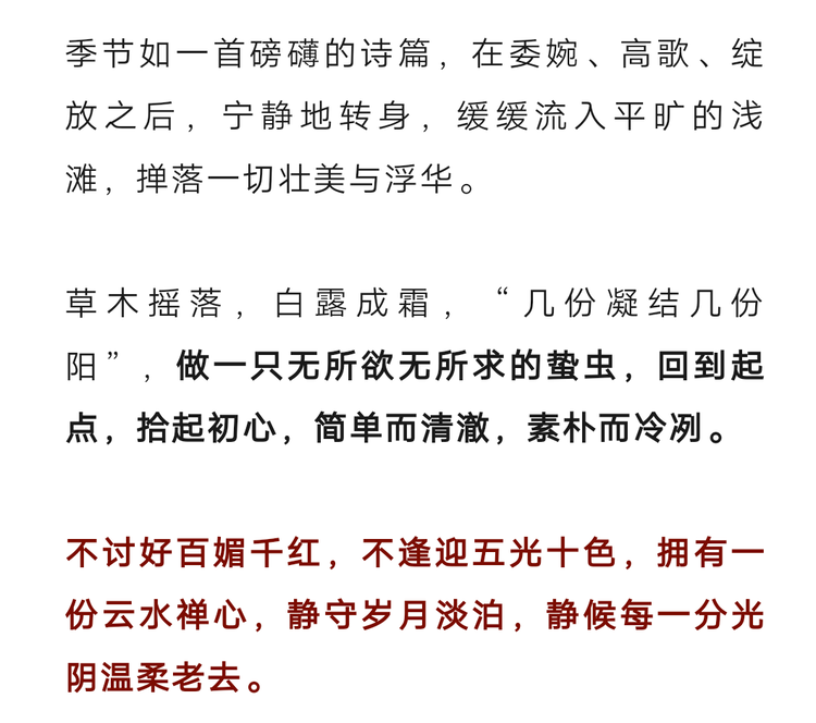 秦声缘💫缘分相遇