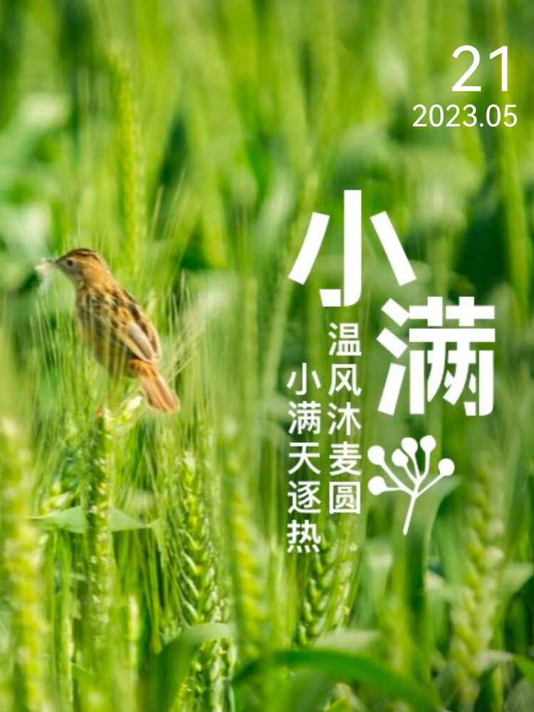 银川市诗词学会