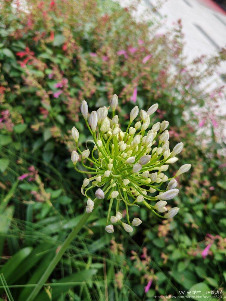 纳兰＿🎤V娱热点