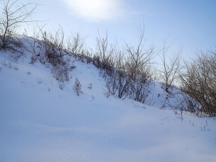 雪儿🎤V娱热点