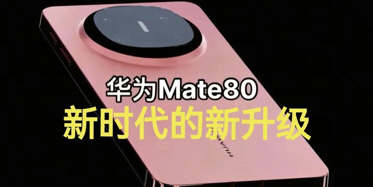 张扬辰
