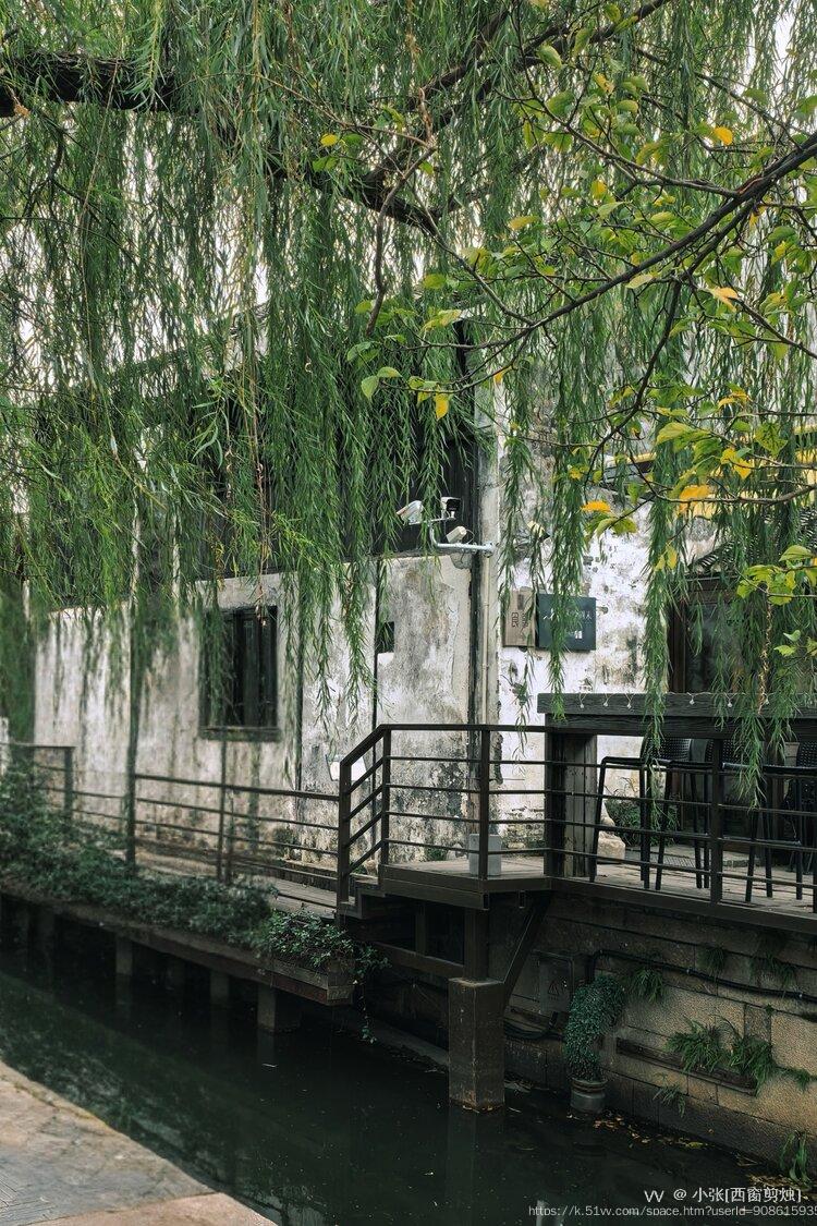 小张[西窗剪烛]