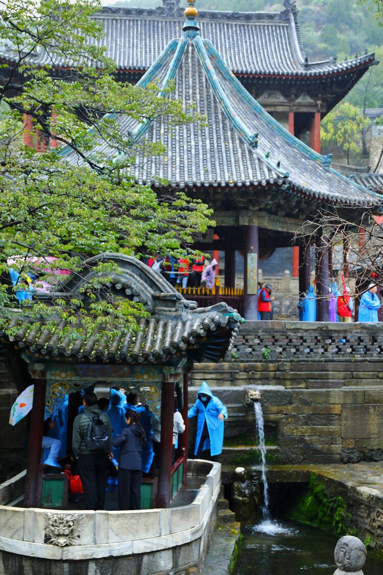 长根(龚长根)上海