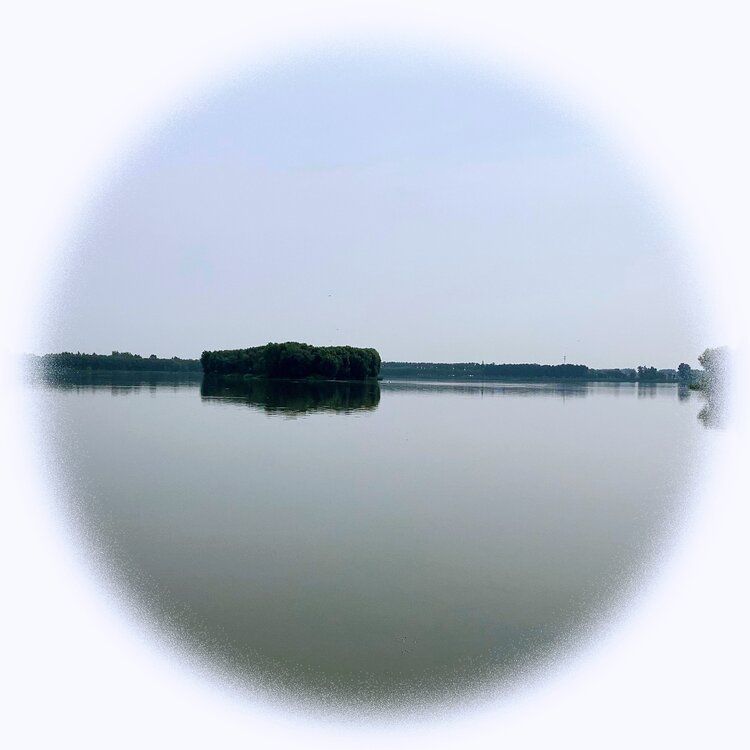青士李振汉