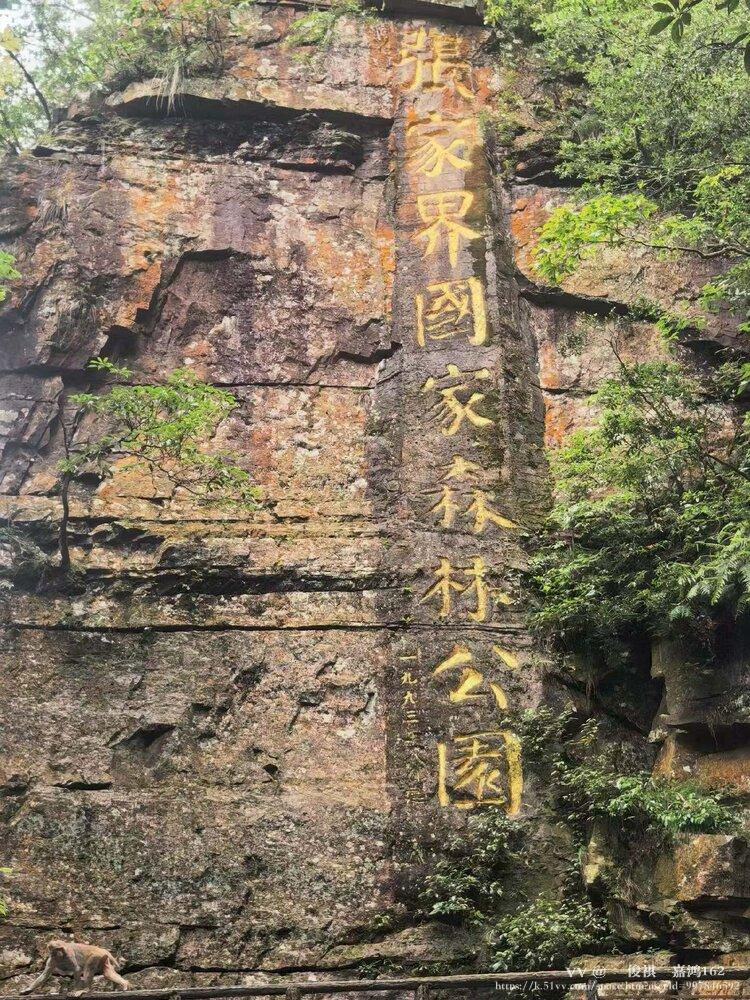💫俊祺💫嘉鸿162💖