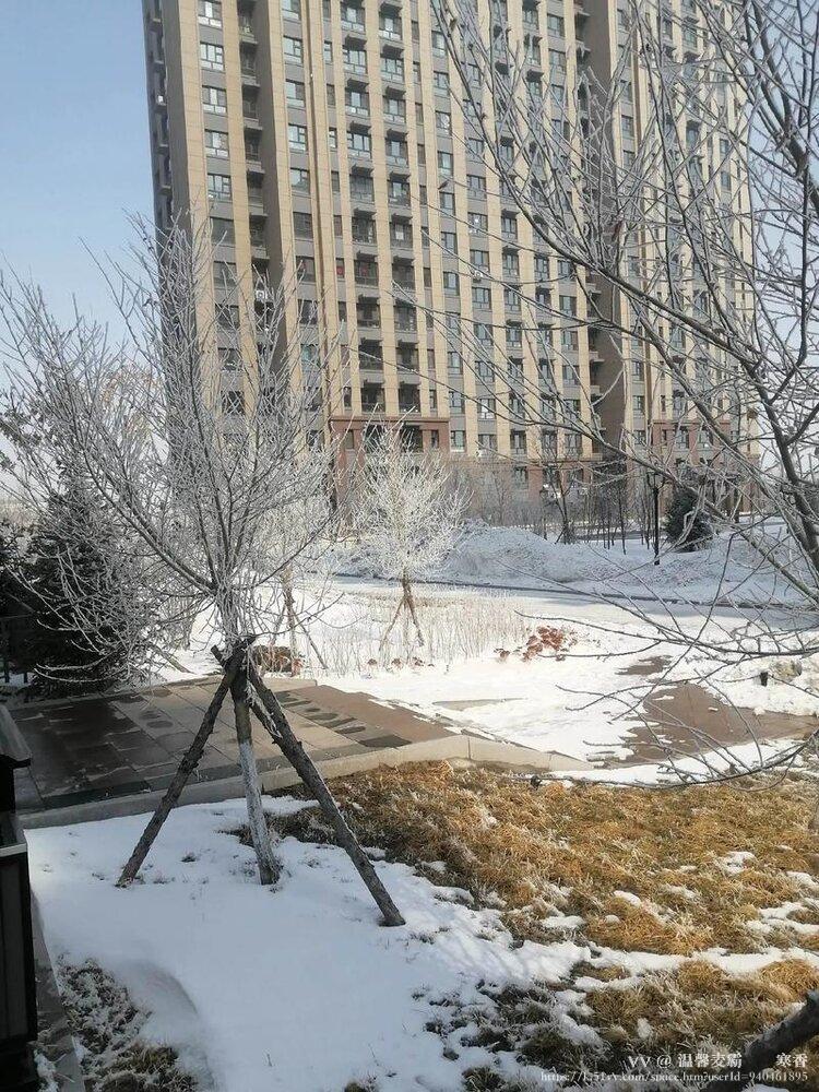 温馨麦霸🎻💝寒香