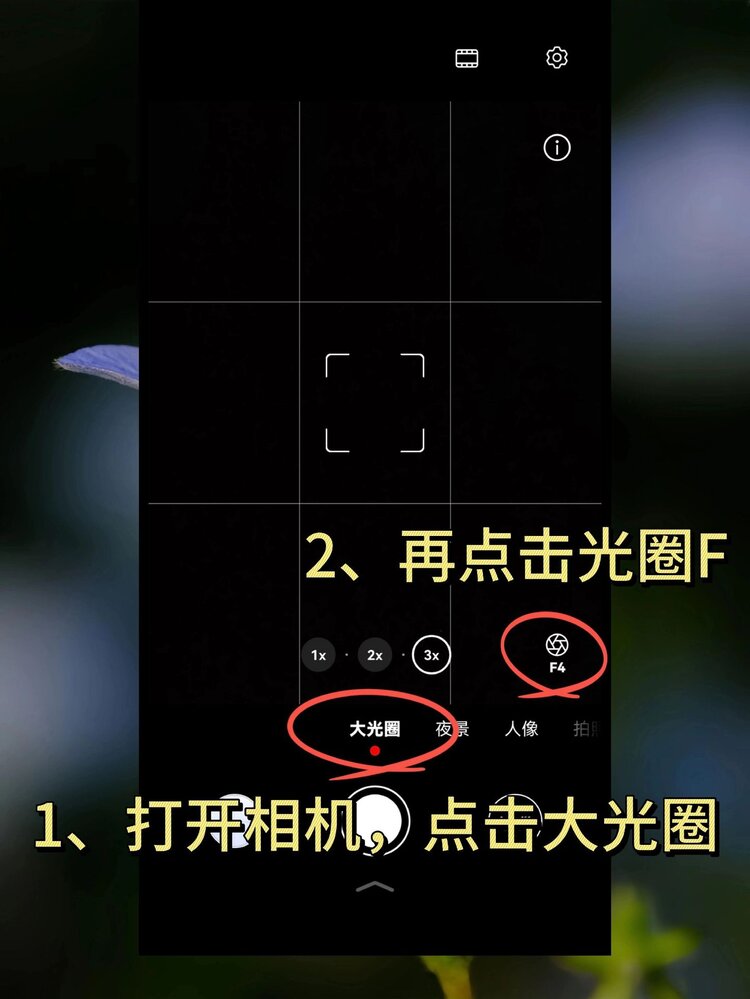 💫压馨韵💫天使