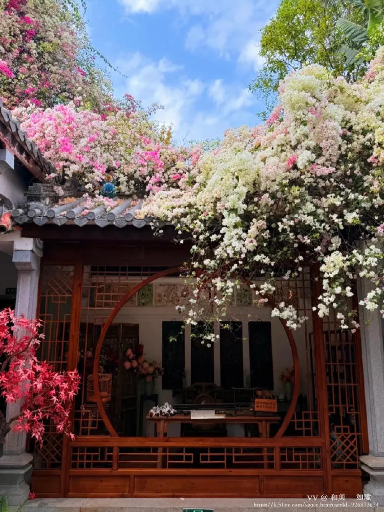 和美🎼 如歌💞