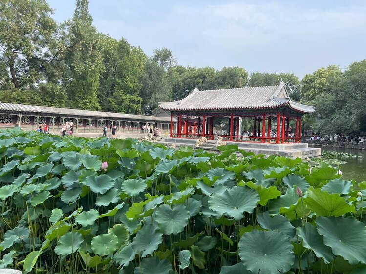 雪儿🎤V娱热点