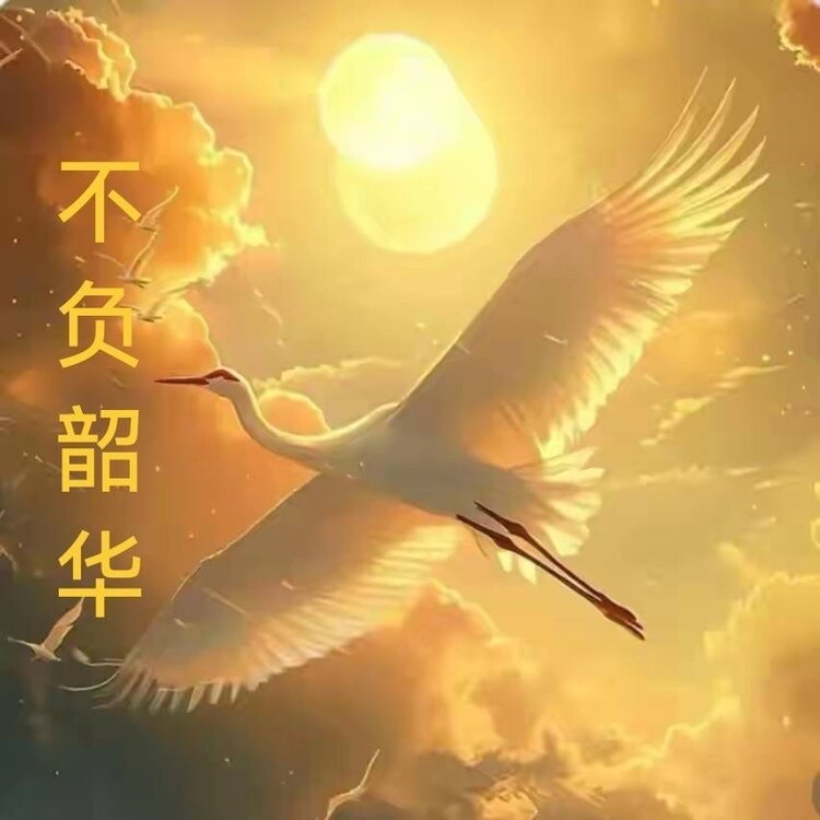 Cui Yuzhen🇨🇳