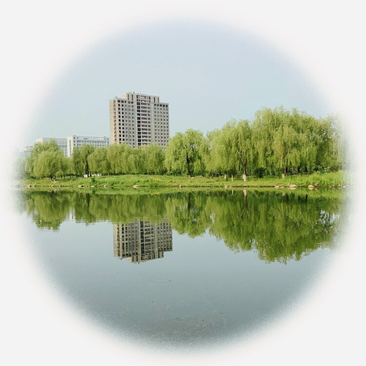 青士李振汉