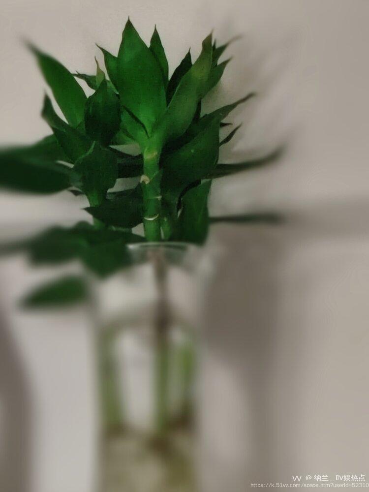 纳兰＿🎤V娱热点