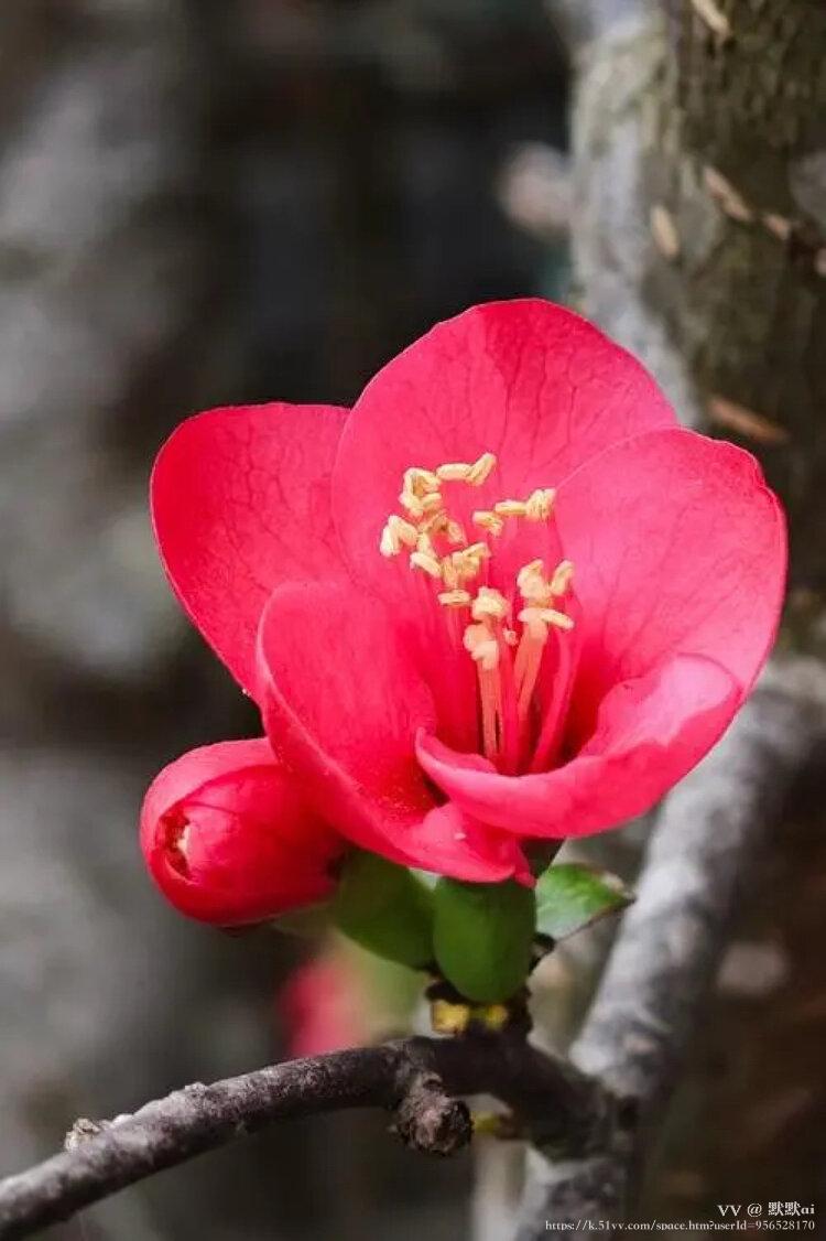 默默ai
