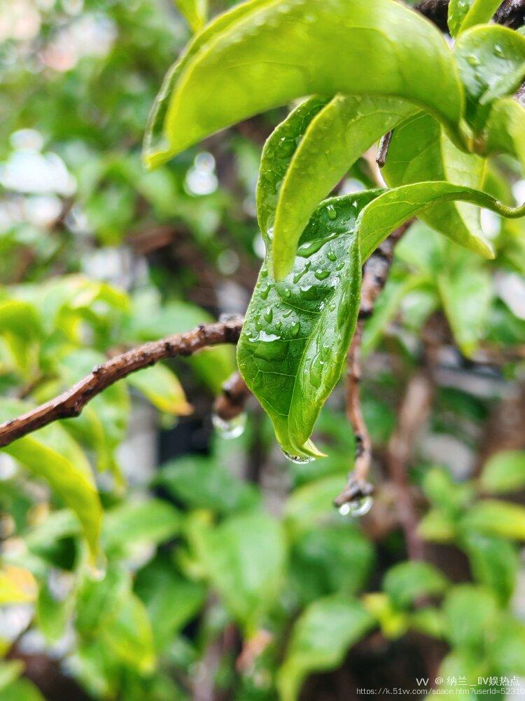 纳兰＿🎤V娱热点