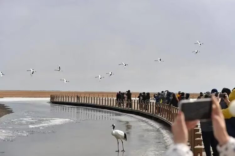 雪儿🎤V娱热点