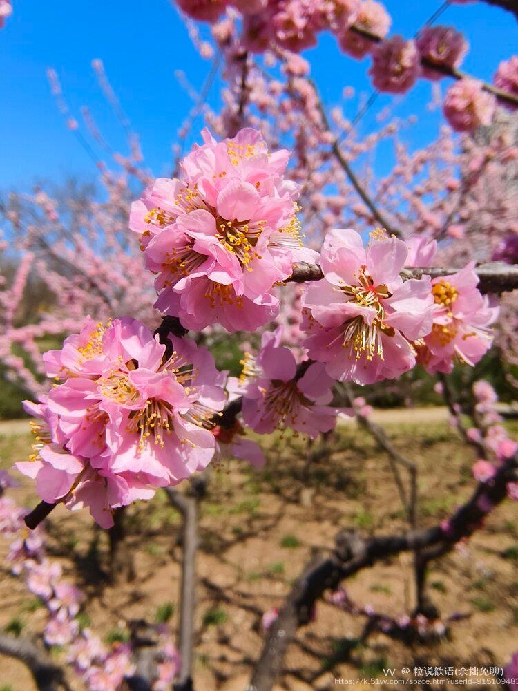 粒说歆语(余拙免聊）