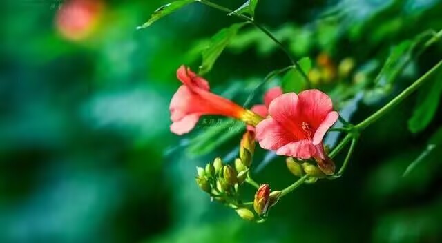 雪儿🎤V娱热点