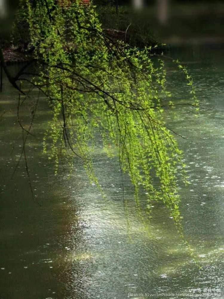 萧锋中醫