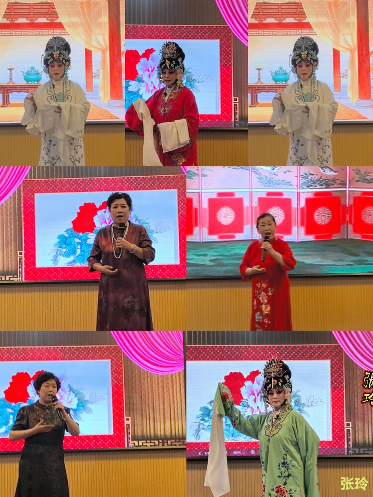 荀梦
