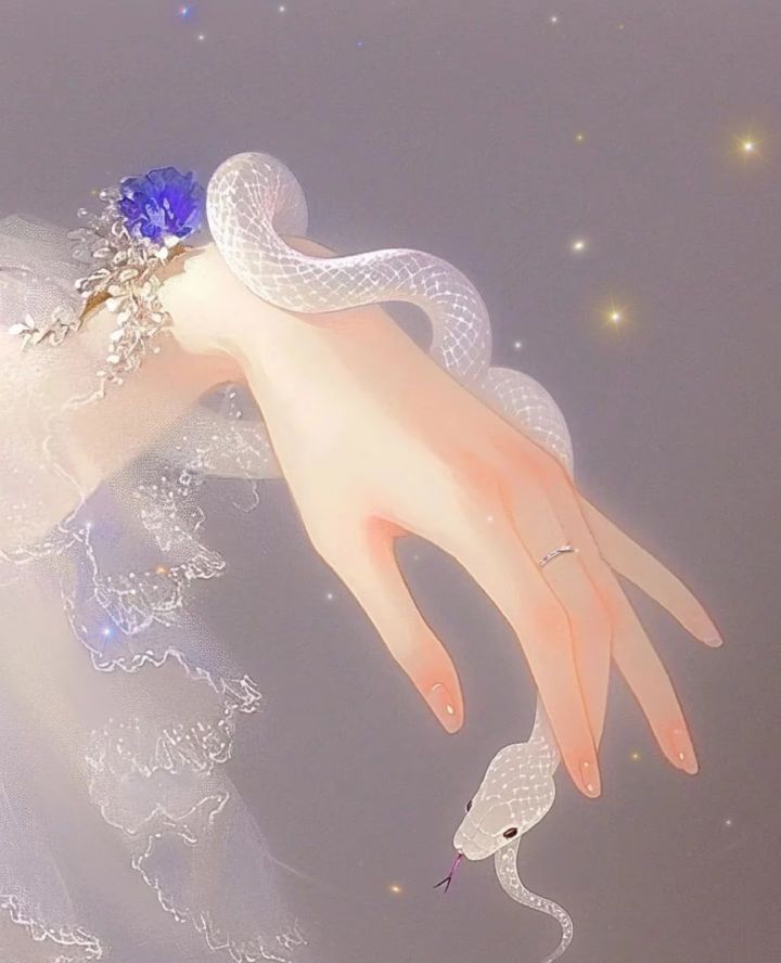 雪儿🎤V娱热点