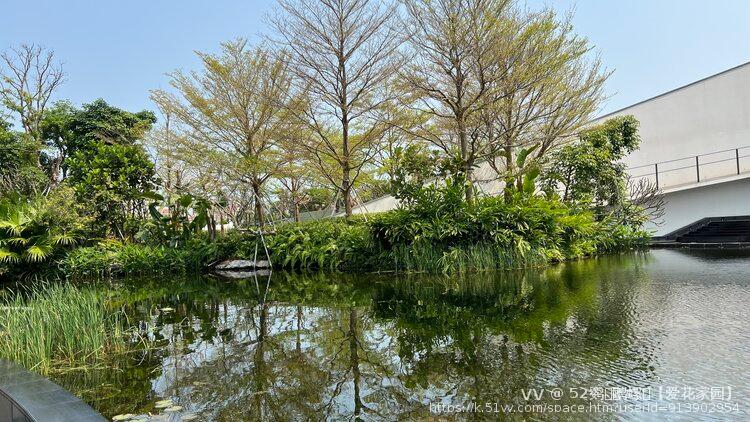 52鹦ꦿོ鹉螺ꦿ【爱花家园】