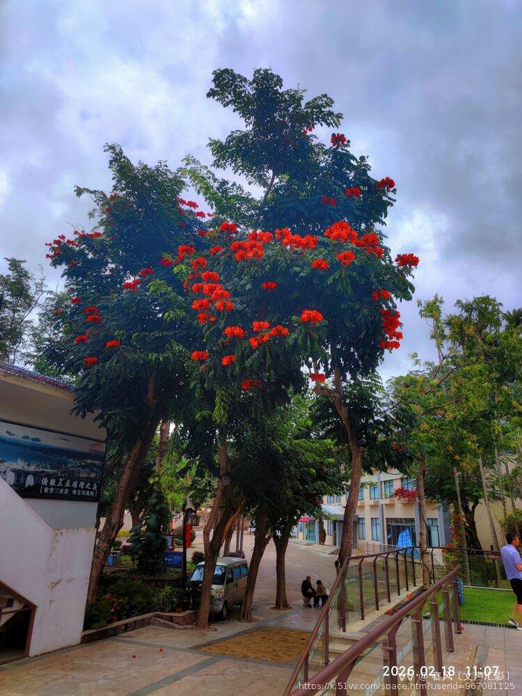 春风〔文声汇影〕