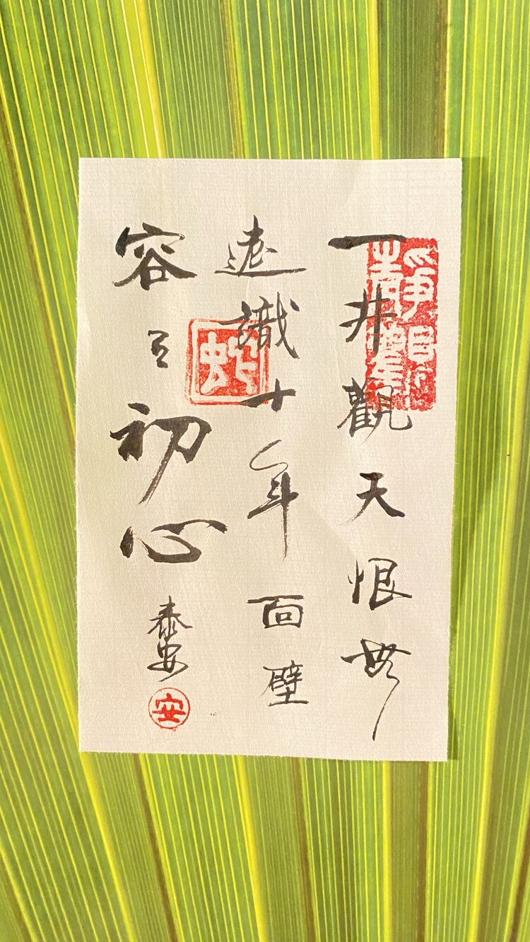 Andy 陈泰安