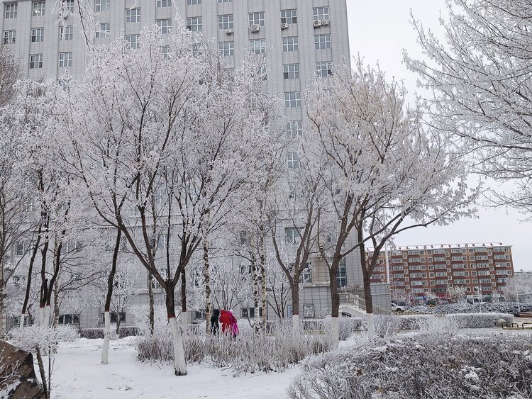 雪儿🎤V娱热点