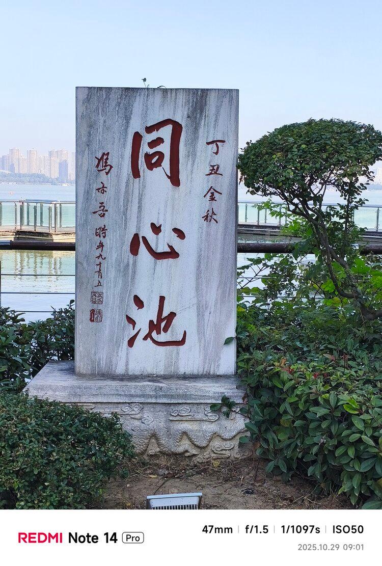 杏玫