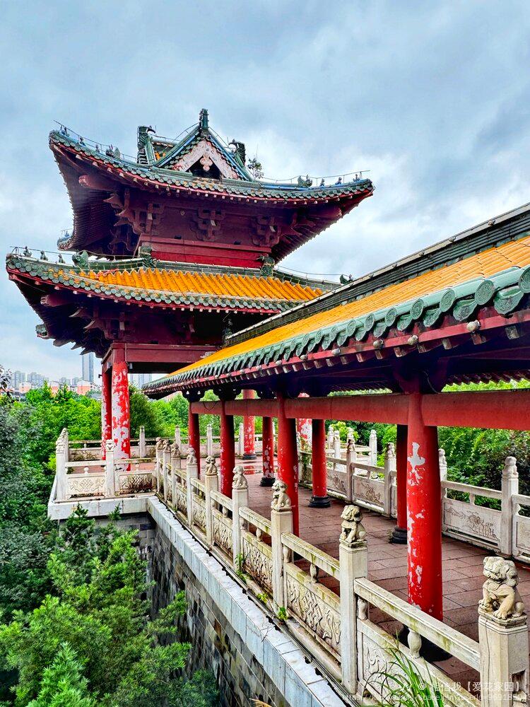 相信我【爱花家园】