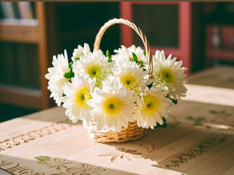 雪儿🎤V娱热点