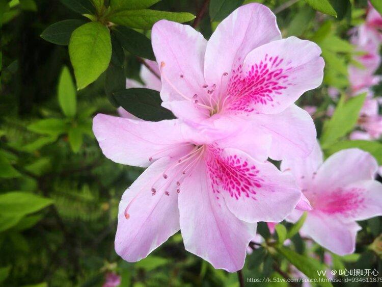 💞心✨援💞开心
