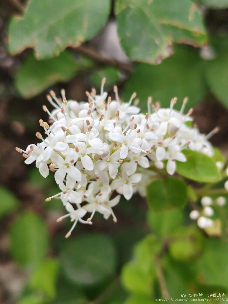 纳兰＿🎤V娱热点