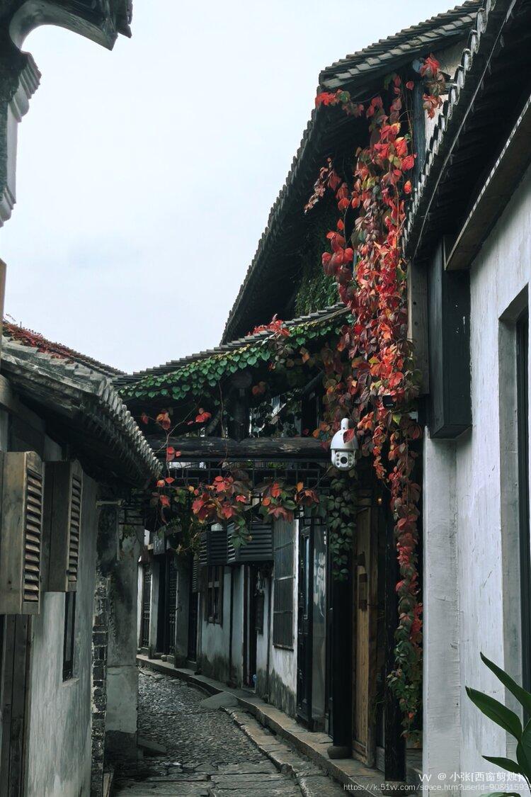 小张[西窗剪烛]