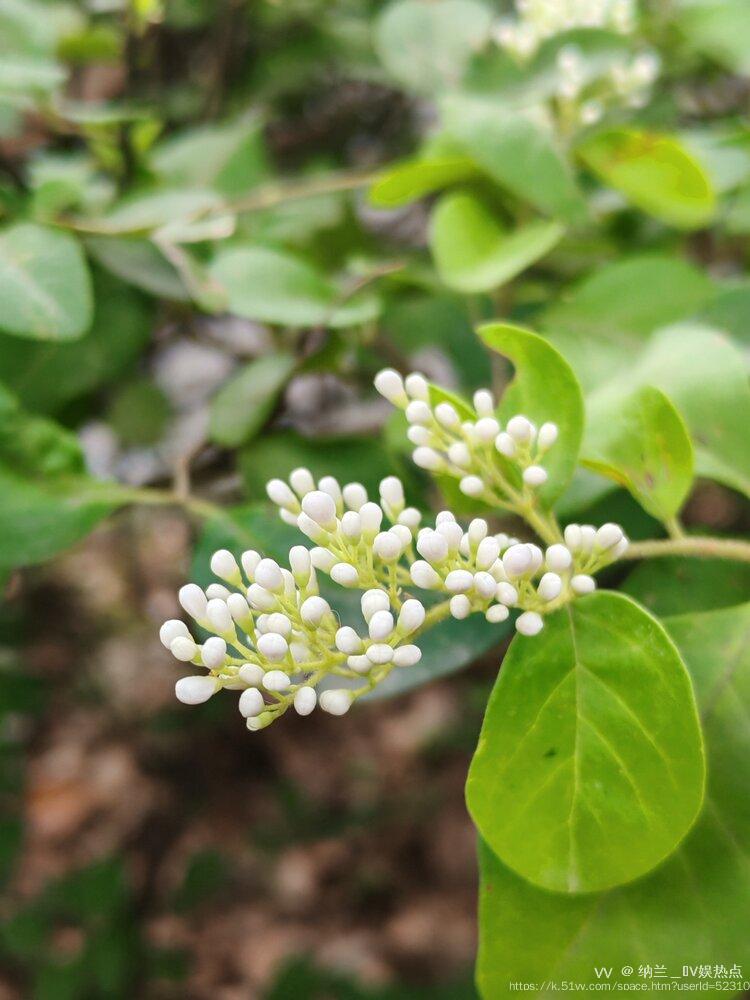 纳兰＿🎤V娱热点