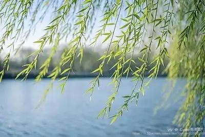 ℒℴѵℯ亮亮ꦿ໊ོ °