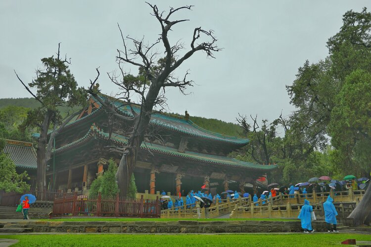 长根(龚长根)上海