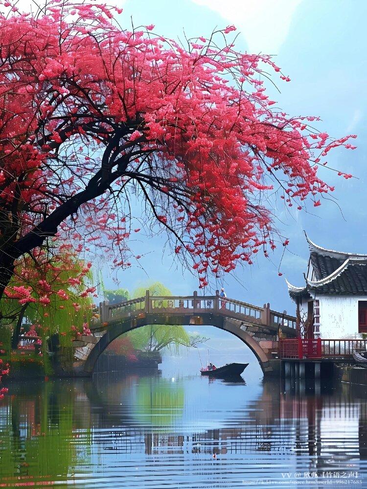 欣儿【竹语之声】