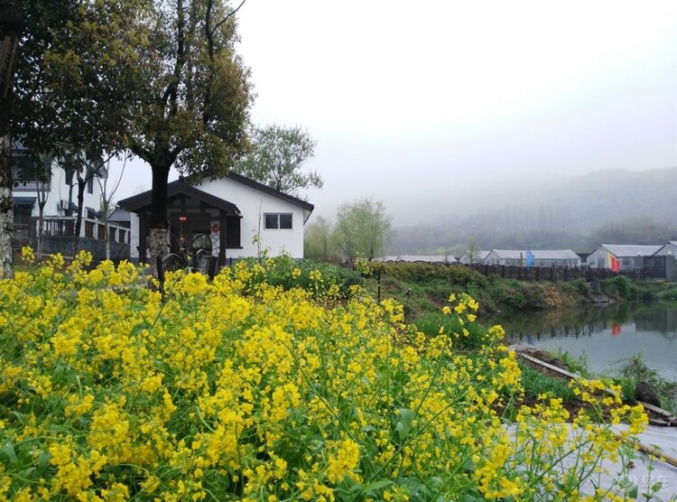 红叶在山那边【西窗剪烛】