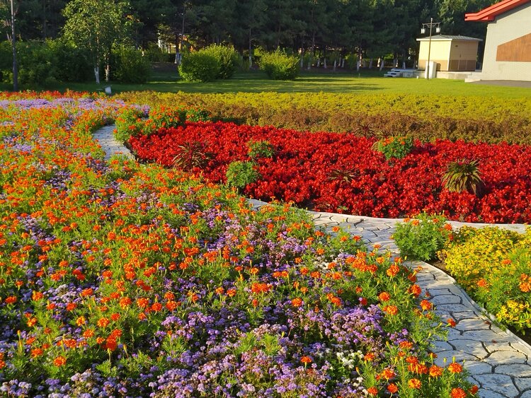 雪儿🎤V娱热点