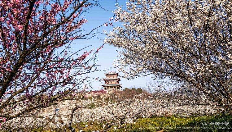 峰子峻