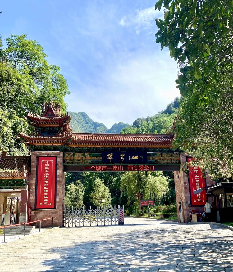 影子专收人气哨2元一万人气哨