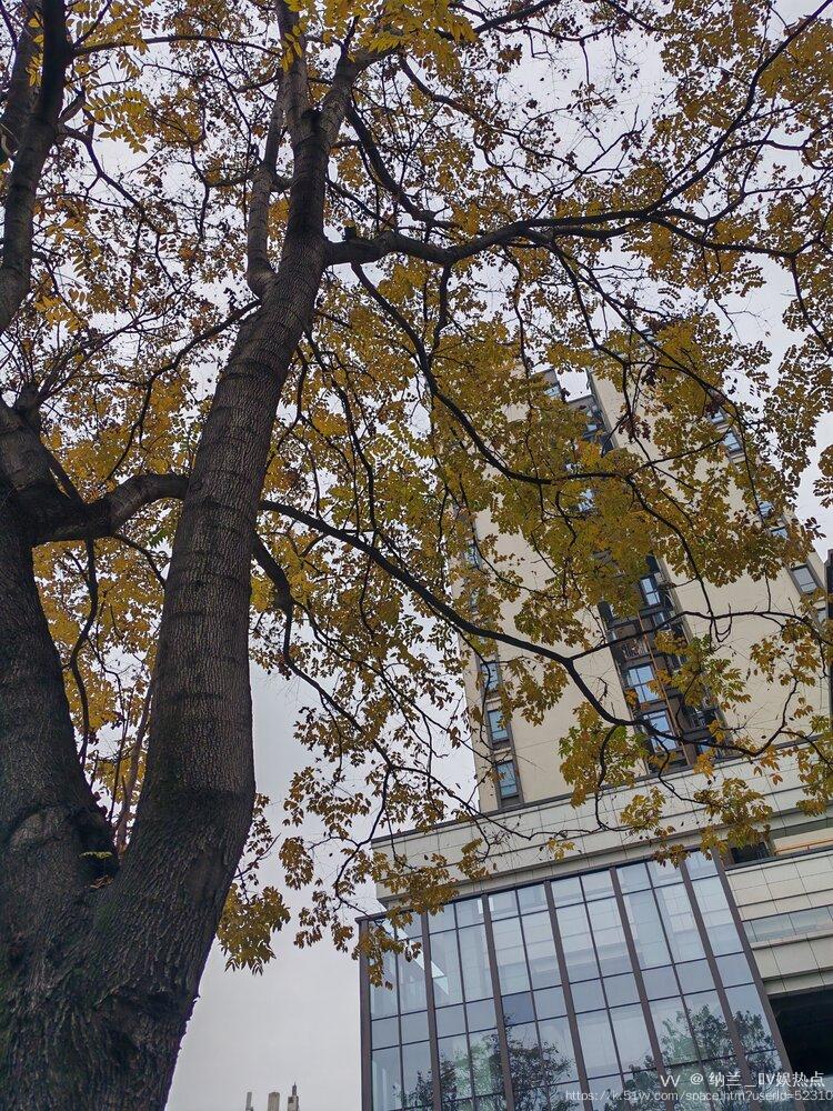 纳兰＿🎤V娱热点