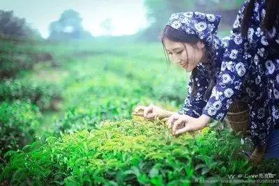 ℒℴѵℯ亮亮ꦿ໊ོ °