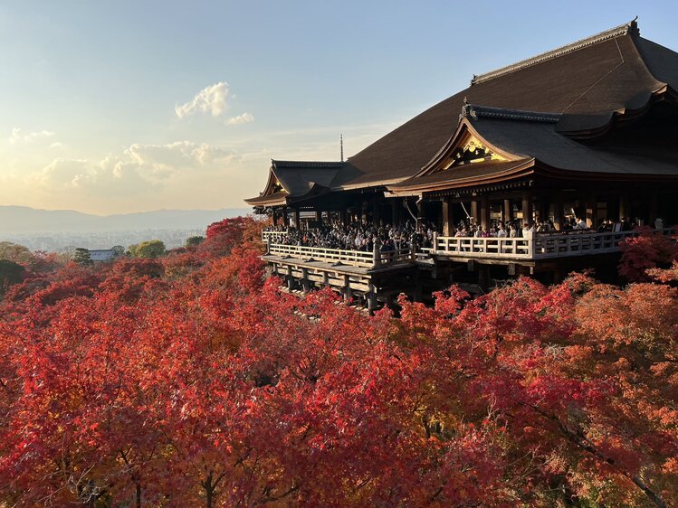 雪儿🎤V娱热点