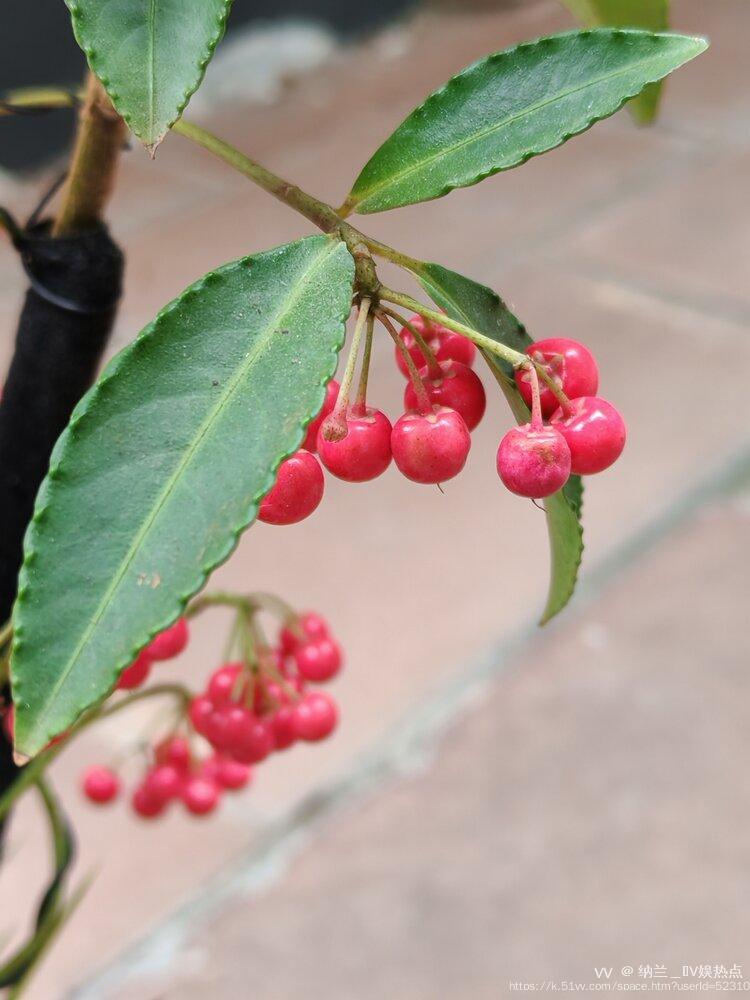 纳兰＿🎤V娱热点