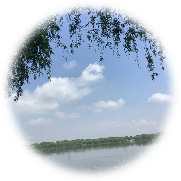 青士李振汉