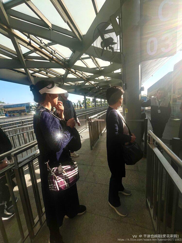 平淡也精彩[爱花家园]